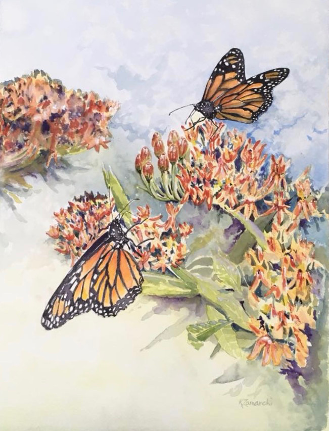 Monarch Duo